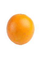 Oranges Direct producteur